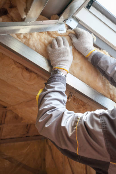 Best Specialized Insulation Services in Erie, KS
